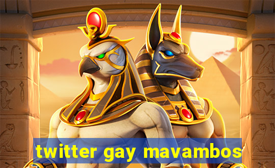 twitter gay mavambos